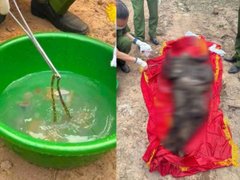 Đọc nhanh bài viết 1034828