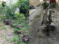 Đọc nhanh bài viết 1034867