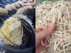 Đọc nhanh bài viết 1034900