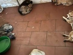 Đọc nhanh bài viết 1034924