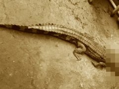 Đọc nhanh bài viết 1034927