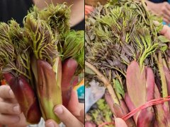 Đọc nhanh bài viết 1034938