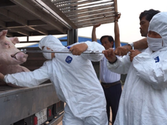 Đọc nhanh bài viết 1035044