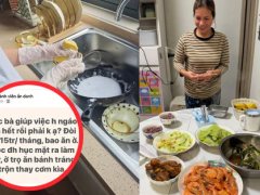 Đọc nhanh bài viết 1035136