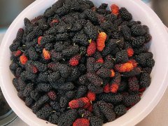 Đọc nhanh bài viết 1035241