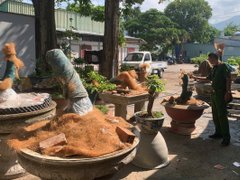 Đọc nhanh bài viết 1035355