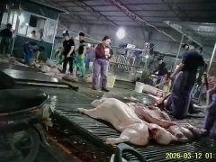 Đọc nhanh bài viết 1035457