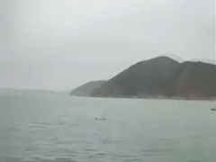 Đọc nhanh bài viết 1035649