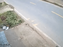 Đọc nhanh bài viết 1035680