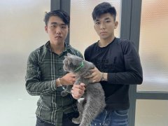 Đọc nhanh bài viết 1035694