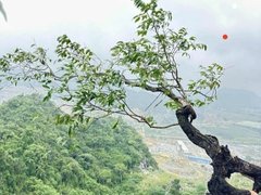 Đọc nhanh bài viết 1035702