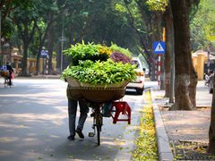 Đọc nhanh bài viết 1035921