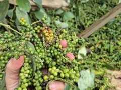 Đọc nhanh bài viết 1036114