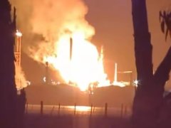 Đọc nhanh bài viết 1036117