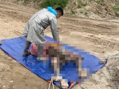 Đọc nhanh bài viết 1036132