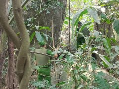 Đọc nhanh bài viết 1036168