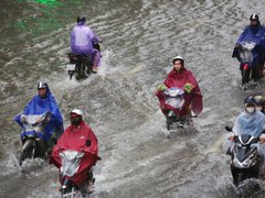 Đọc nhanh bài viết 1036183