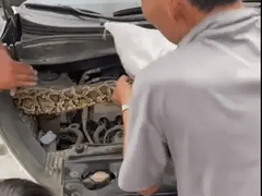 Đọc nhanh bài viết 1036222