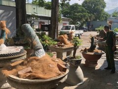 Đọc nhanh bài viết 1036307