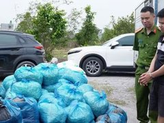 Đọc nhanh bài viết 1036337