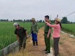 Đọc nhanh bài viết 1036398