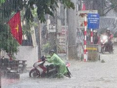 Đọc nhanh bài viết 1036446