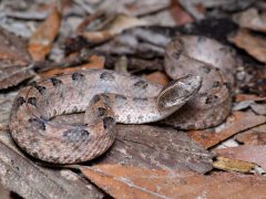 Đọc nhanh bài viết 1036460