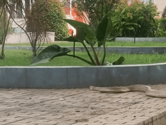 Đọc nhanh bài viết 1036466