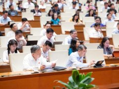 Đọc nhanh bài viết 1036482