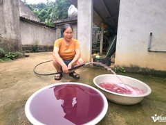 Đọc nhanh bài viết 1036585