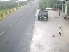 Đọc nhanh bài viết 1036620