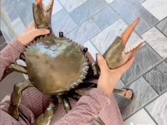 Đọc nhanh bài viết 1036655