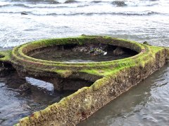 Đọc nhanh bài viết 1036678