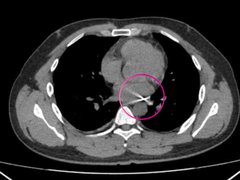 Đọc nhanh bài viết 1036688
