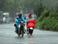 Đọc nhanh bài viết 1036707