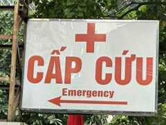 Đọc nhanh bài viết 1036732