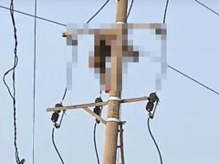 Đọc nhanh bài viết 1036736