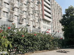 Đọc nhanh bài viết 1036738