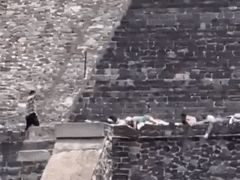 Đọc nhanh bài viết 1036749