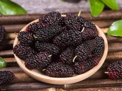 Đọc nhanh bài viết 1036759