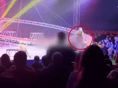 Đọc nhanh bài viết 1036784