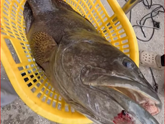 Đọc nhanh bài viết 1036798