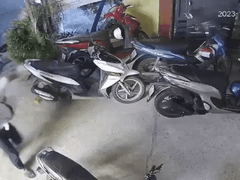 Đọc nhanh bài viết 1036809