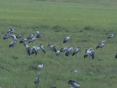 Đọc nhanh bài viết 1036853