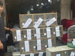 Đọc nhanh bài viết 1036877