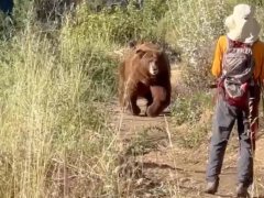 Đọc nhanh bài viết 1037012