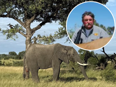 Đọc nhanh bài viết 1037126