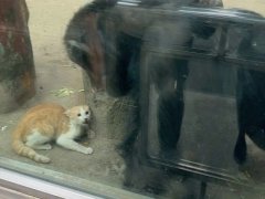 Đọc nhanh bài viết 1037129