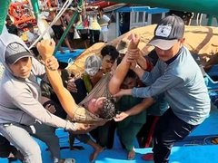 Đọc nhanh bài viết 1037165