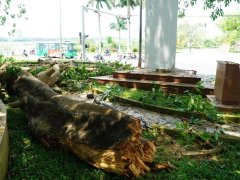 Đọc nhanh bài viết 1037209